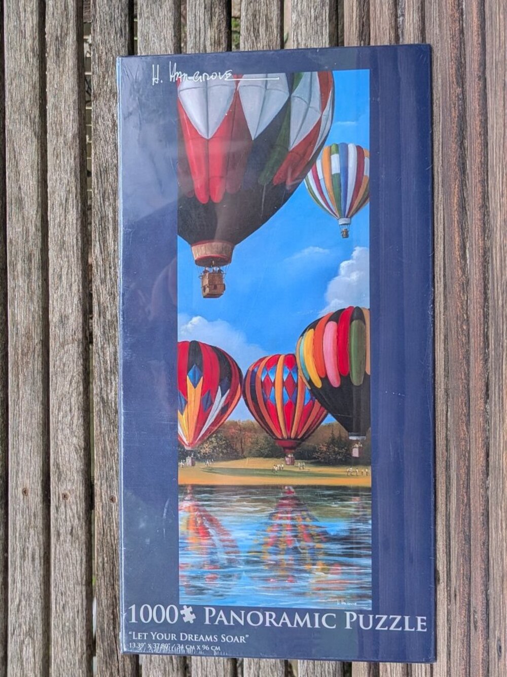 H. Hargrove LET YOUR DREAMS SOAR 1000 pc Panoramic Jigsaw Puzzle HOT AIR BALLOON